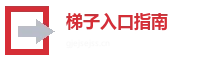 梯子游戏入口指南 Logo